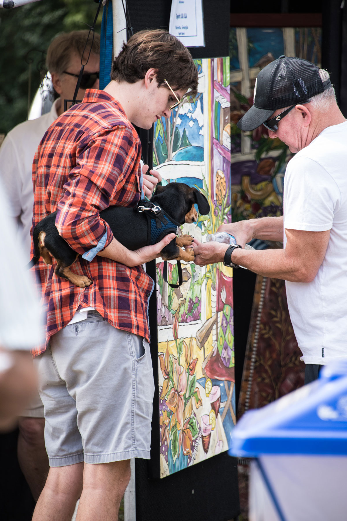 Johns Creek Arts Festival Visitor Information Splash Festivals