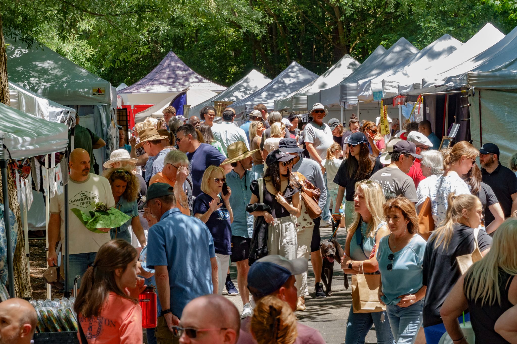 Alpharetta Arts Streetfest